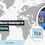 Electric vehicle battery of the future: Govt & private sector must focus on Na-ion technology