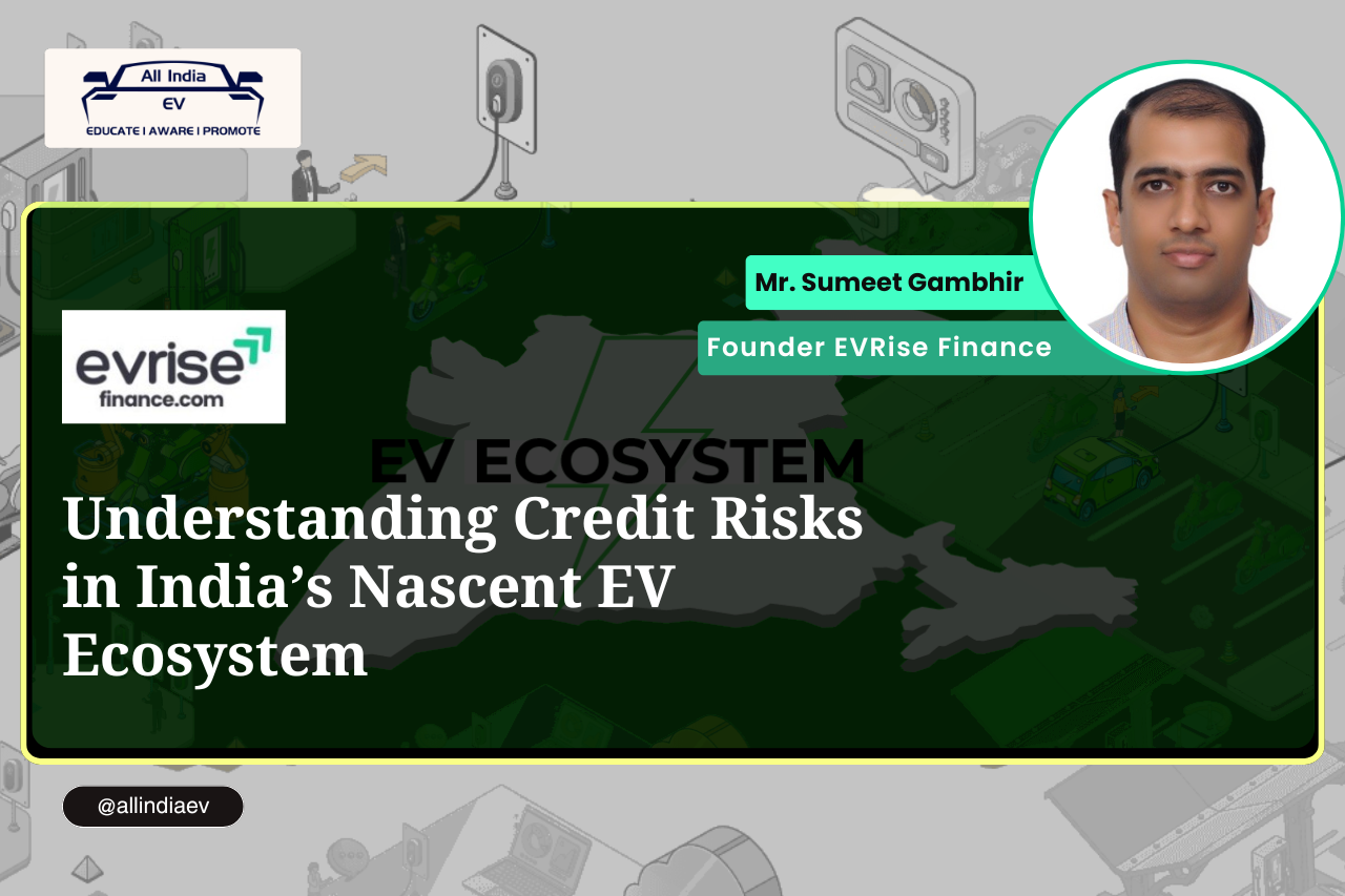 Credit Risks in India's