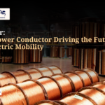 India’s EV Future