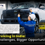 EV services in India